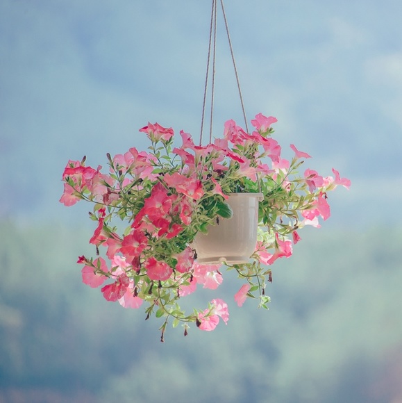 Meet your Posher, Angela - Picture 1 of 1